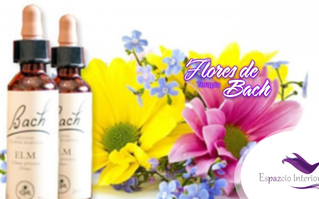Flores de Bach