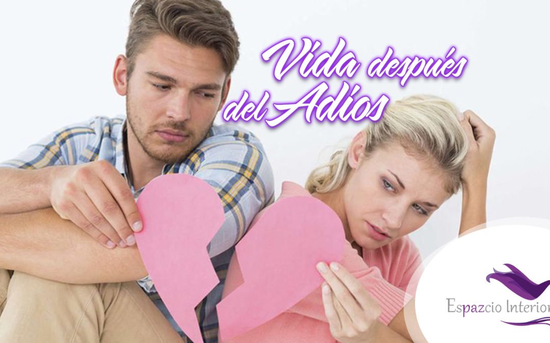 Vida después del adios